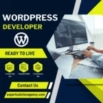 WordPress Web Design Experts